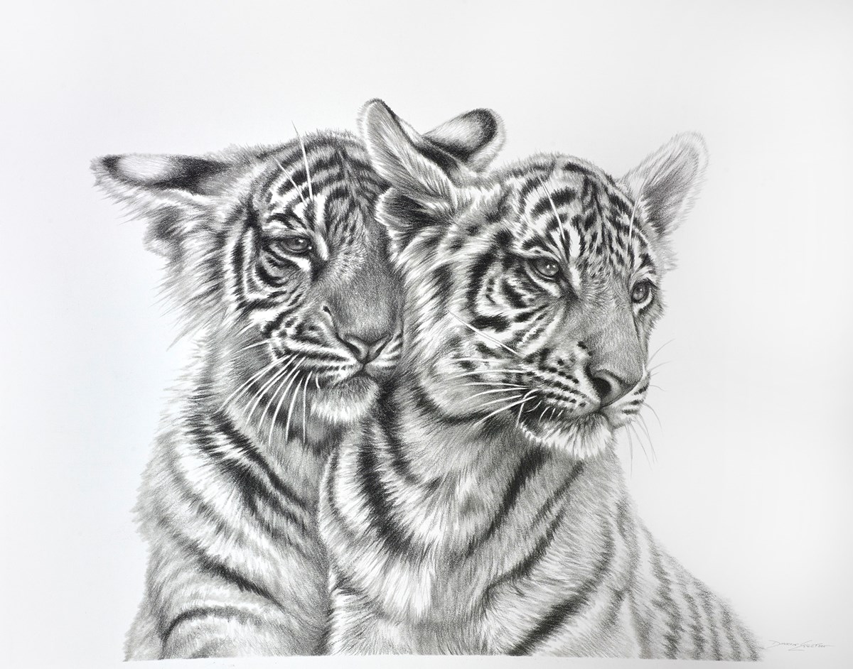 Tiger Cubs